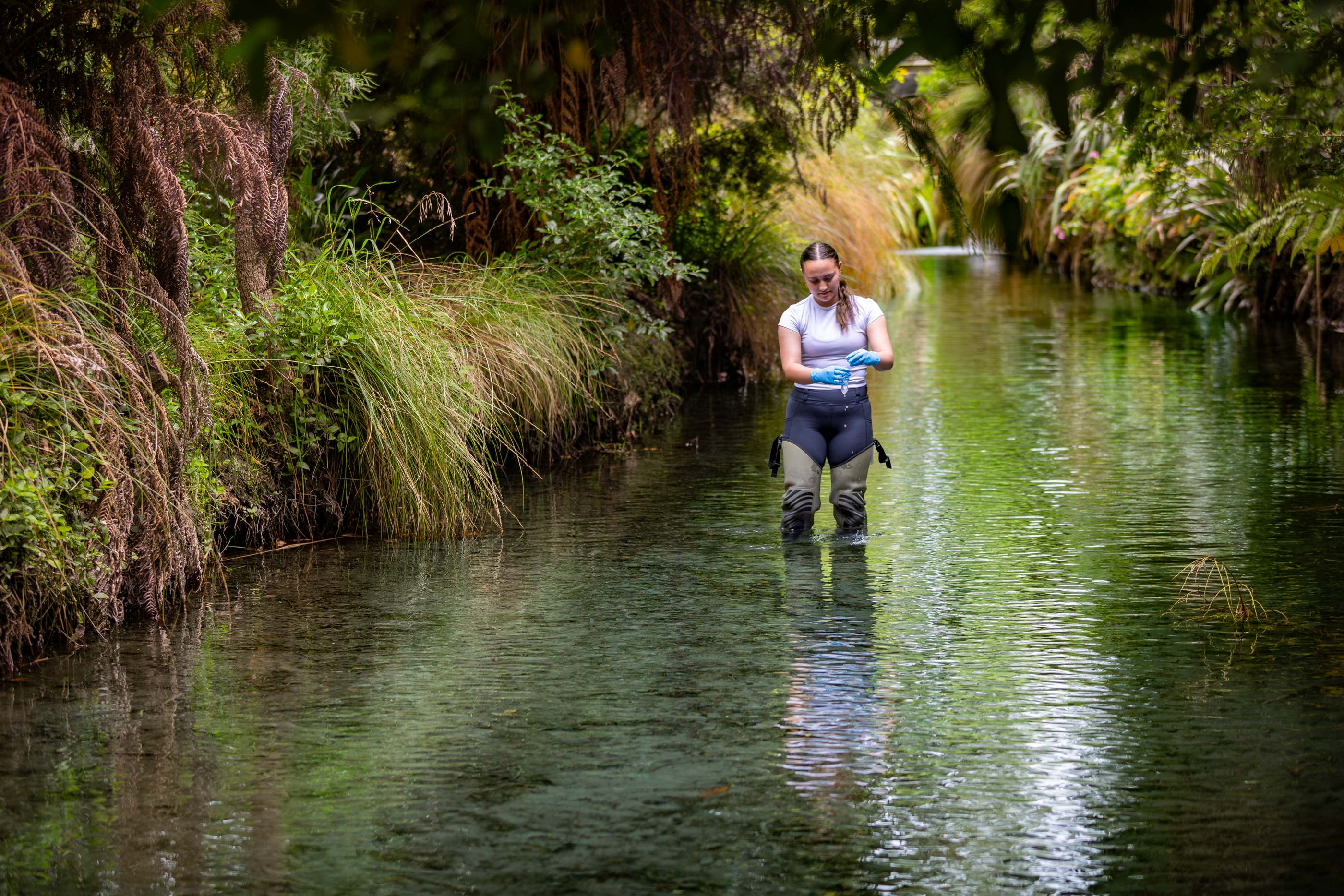 University Of Canterbury PhD Scholarships Target Flooding Microplastics And Water Risks
