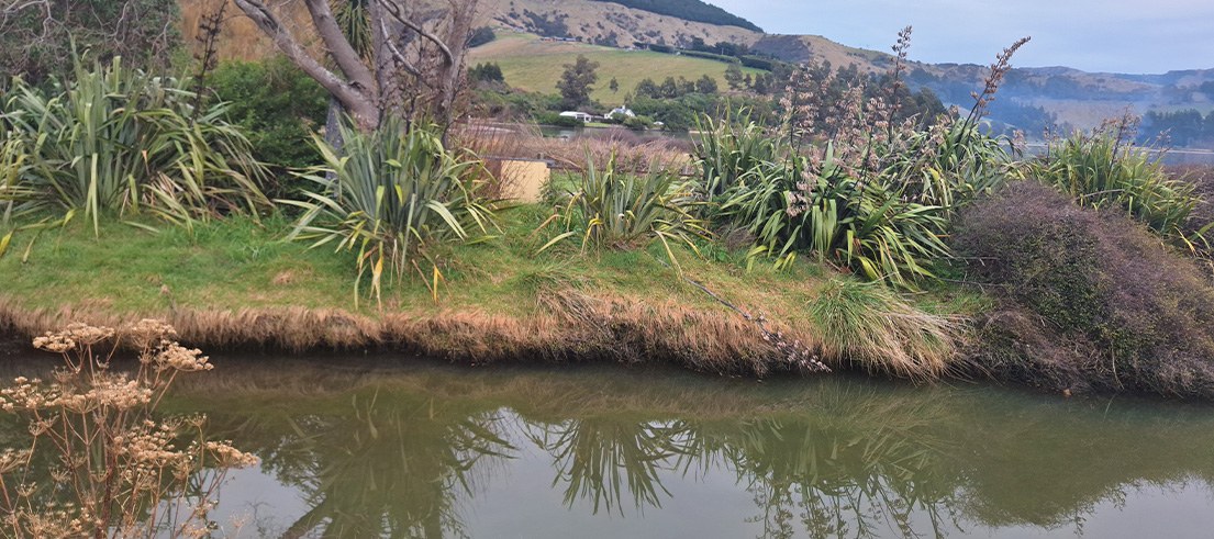 Te Wharau Stream Fish Survive Banks Peninsula Flood After ECan DNA Testing