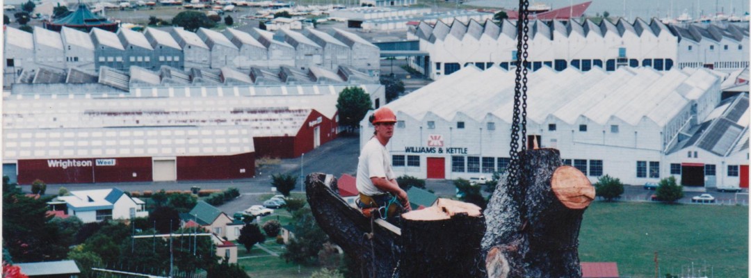 Superior Exterior tree service