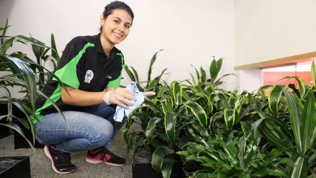 Clean Planet service